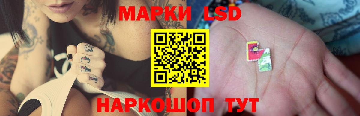 ГАШ Донецк