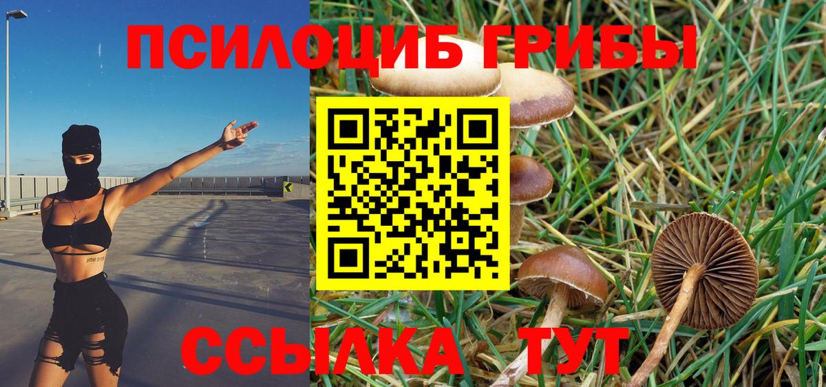 Галлюциногенные грибы GOLDEN TEACHER  Вход с VPN  Донецк  Галлюциногенные грибы Magic Shrooms 