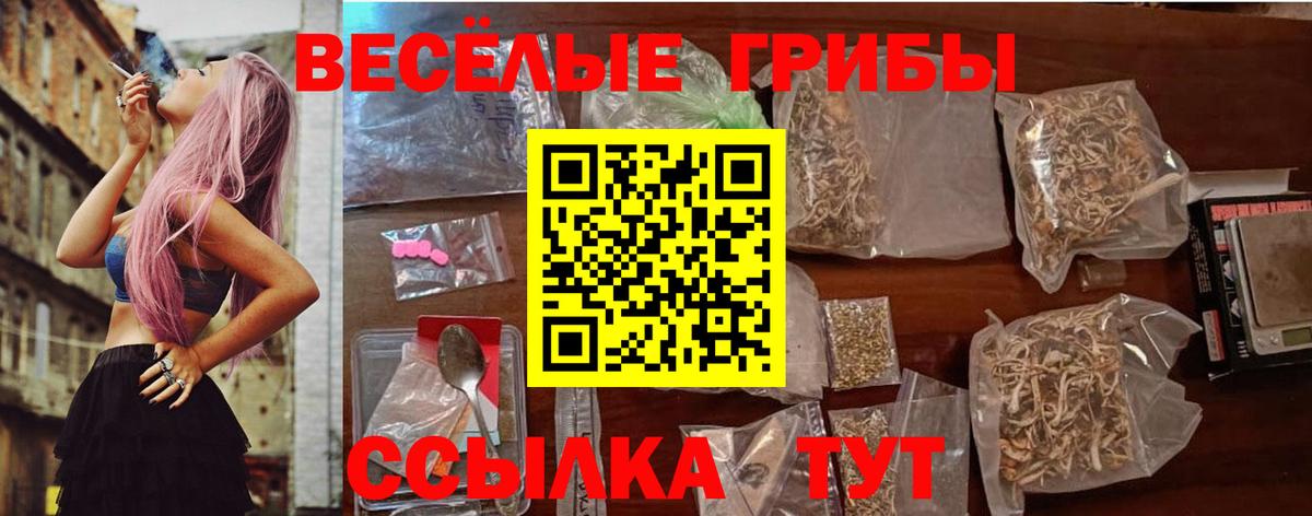 Псилоцибиновые грибы Magic Shrooms Донецк